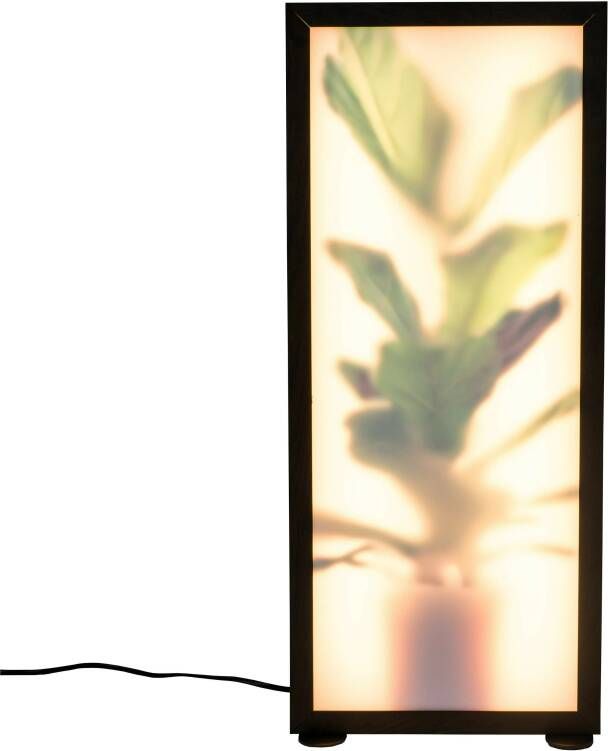 Zuiver Vloerlamp Grow Vioolbladplant 60cm Meerkleurig