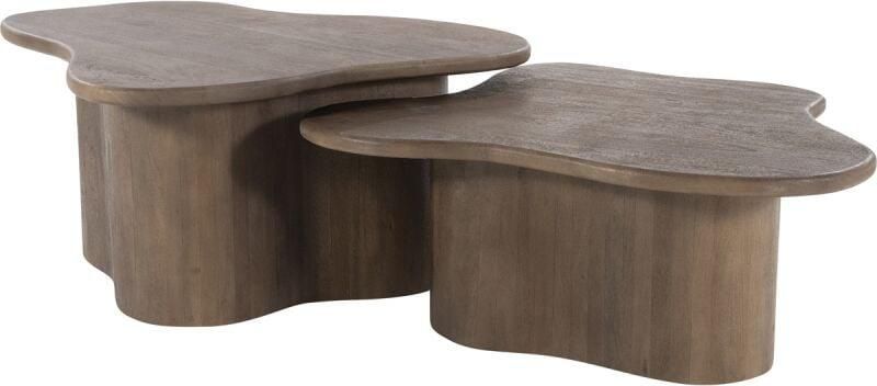 By-Boo Organische Salontafel Fall Mangohout Set van 2 stuks Bruin - Foto 1