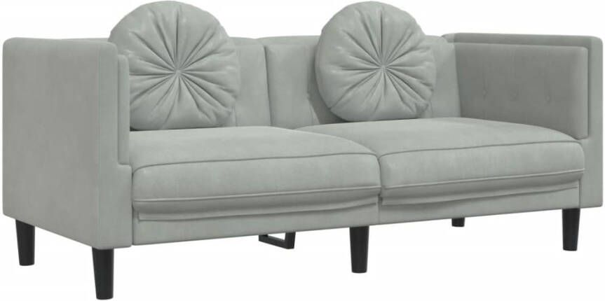 Vida XL vidaXL 2-delige Loungeset met kussens fluweel lichtgrijs-VXL-3209257