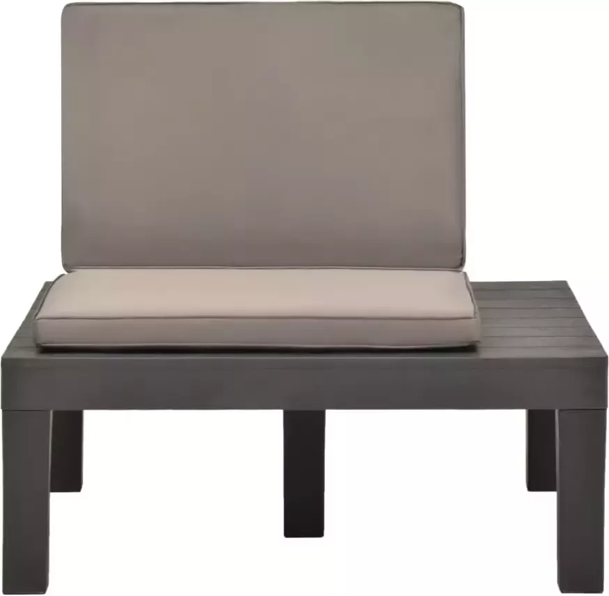 VIDAXL Loungestoelen 2 st met kussens kunststof antraciet