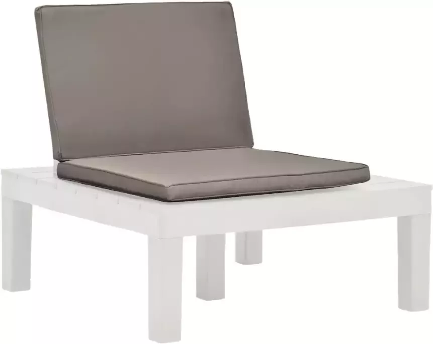 VIDAXL Loungestoelen 2 st met kussens kunststof wit