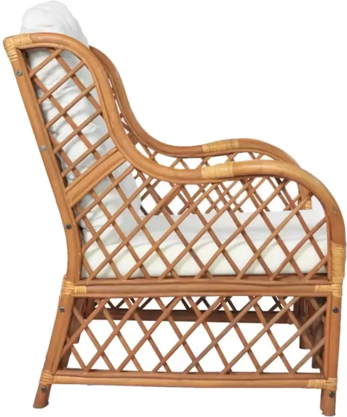 VidaXL -Stoel-met-kussen-natuurlijk-rattan-en-linnen-lichtbruin - Foto 4