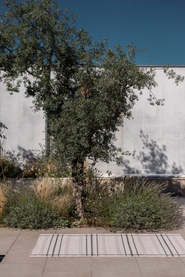 Brink en Campman Vloerkleed Zona Charcoal Line Outdoor