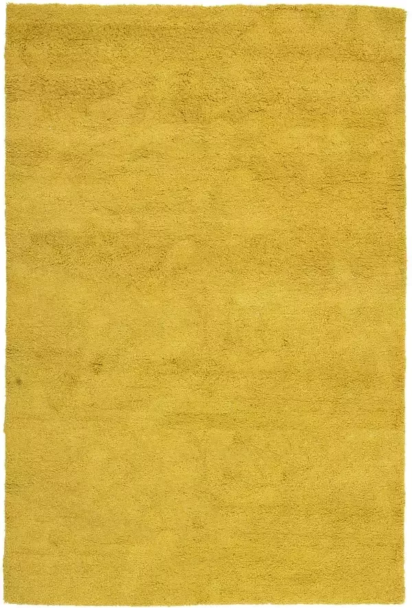 Brinker carpets Feel Good Berbero Gold Vloerkleed 200x300 Rechthoek Laagpolig Tapijt Modern Geel Goud - Foto 2
