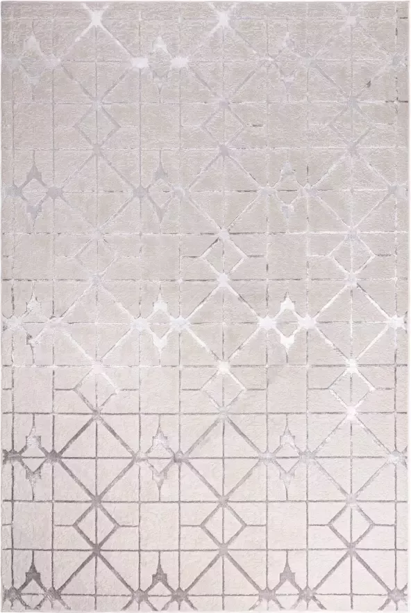 Eazy Living Easy Living Aurora-Lattice Vloerkleed 160x230 Rechthoek Laagpolig Tapijt Klassiek Beige Zilver - Foto 2