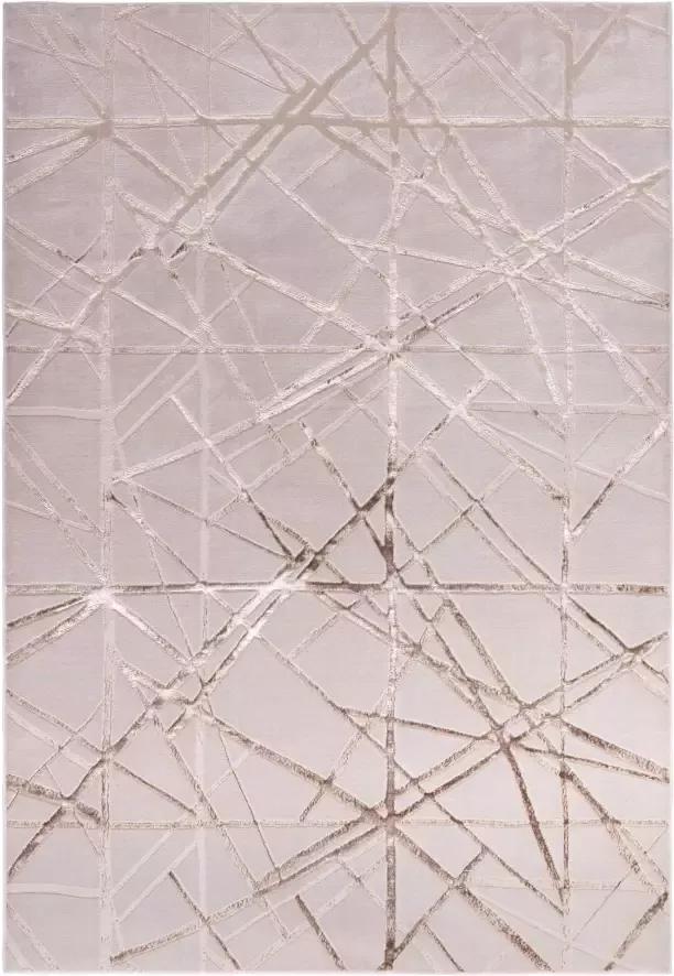 Eazy Living Easy Living Aurora-au13-Mica Vloerkleed 160x230 Rechthoek Laagpolig Tapijt Modern Grijs Zilver - Foto 2