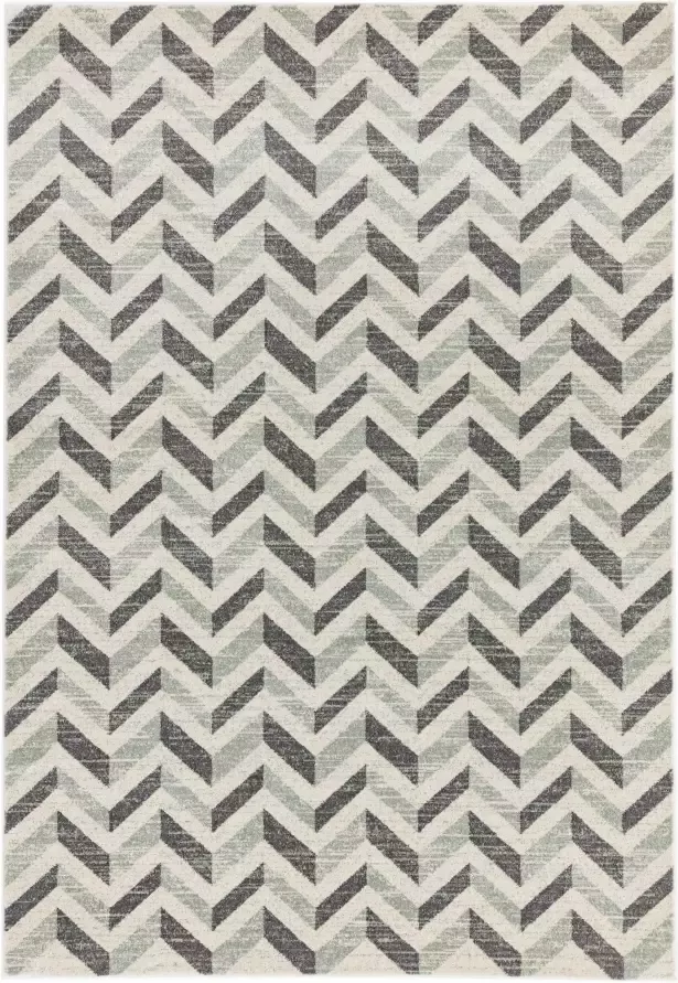 Easy living colt-chevron-grey Vloerkleed 160x230 Rechthoek Laagpolig Tapijt Modern Grijs