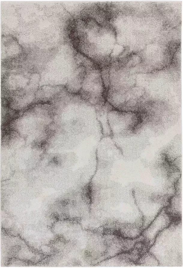 Eazy Living Easy Living Dream-cream-Black Vloerkleed 160x230 Rechthoek Laagpolig Tapijt Modern Antraciet Grijs