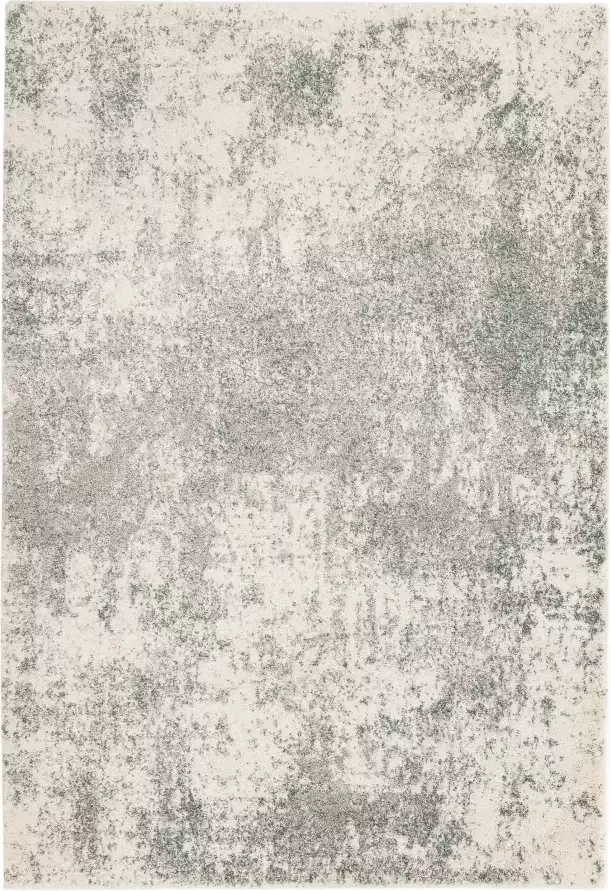 Eazy Living Easy Living Dream-Cream-Sage Vloerkleed 160x230 Rechthoek Laagpolig Tapijt Modern Beige Grijs