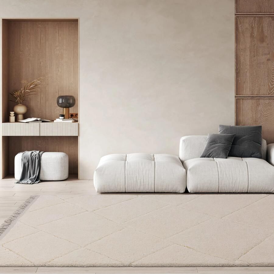 Easy Living Vloerkleed Fes FE01 Rug