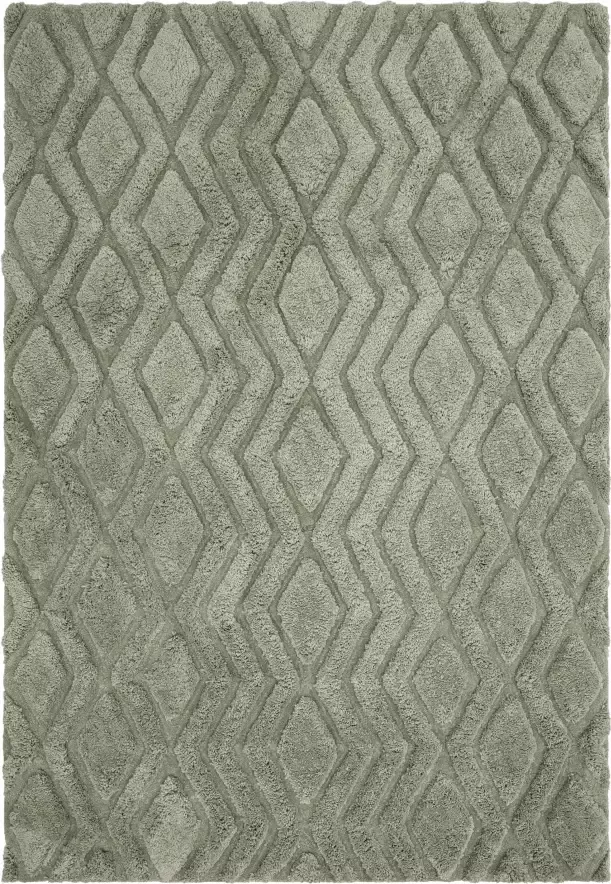 Easy living Harrison Sage Vloerkleed 200x290 Rechthoek Laagpolig Tapijt Modern Groen - Foto 2