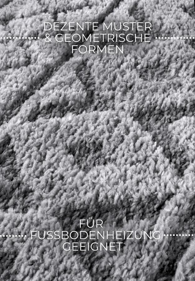 Hanse Home Elle Decoration Gallery High Pile Carpet Itinerance Light Grey 120x170 cm