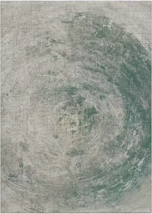 Jackie And The Fish Nautilus Lichen Fossil Vloerkleed 200x295 Rechthoek Laagpolig Tapijt Modern Beige Grijs Groen - Foto 2