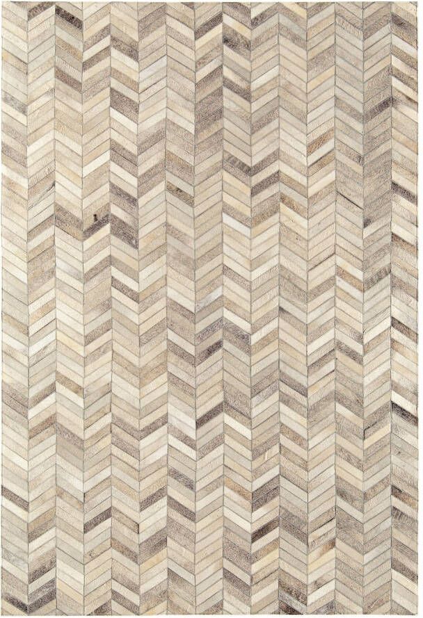 Easy Living Vloerkleed Gaucho Chevron