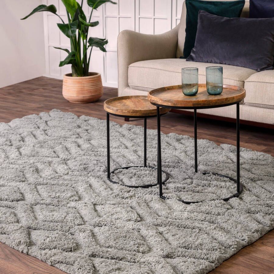 Easy Living Vloerkleed Harrison Silver Rug