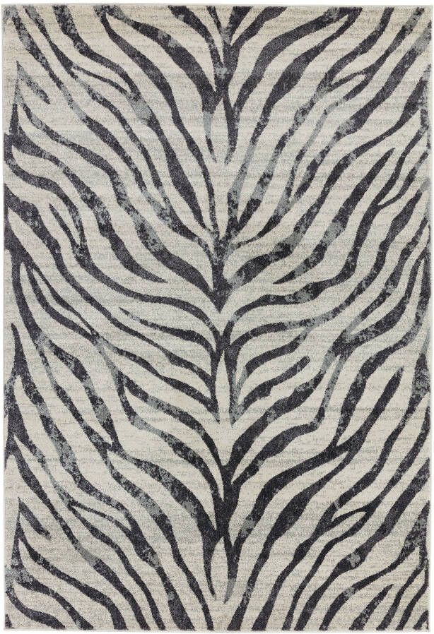 MOMO Rugs Vloerkleed Nova Zebra Grey Rug NV27 - Foto 1