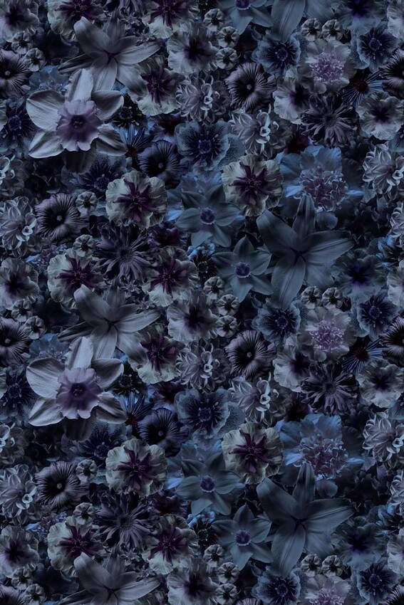 Moooi Carpets Laagpolig Vloerkleed Flowergarden Rectangle Night Low Pile 200x300 cm - Foto 1