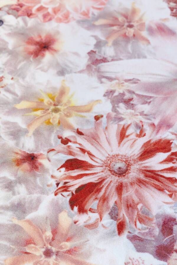 Moooi Carpets Laagpolig Vloerkleed Flowergarden Rectangle Wool 300x400 cm - Foto 1