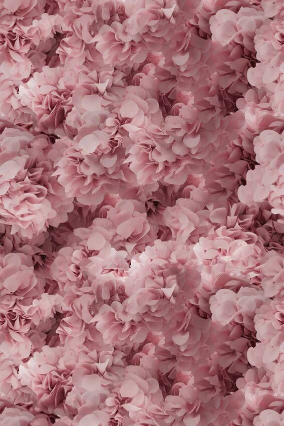 Moooi Carpets Laagpolig Vloerkleed Hortensia Pink Low Pile - Foto 1