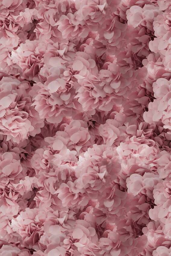 Moooi Carpets Laagpolig Vloerkleed Hortensia Pink Wool - Foto 1