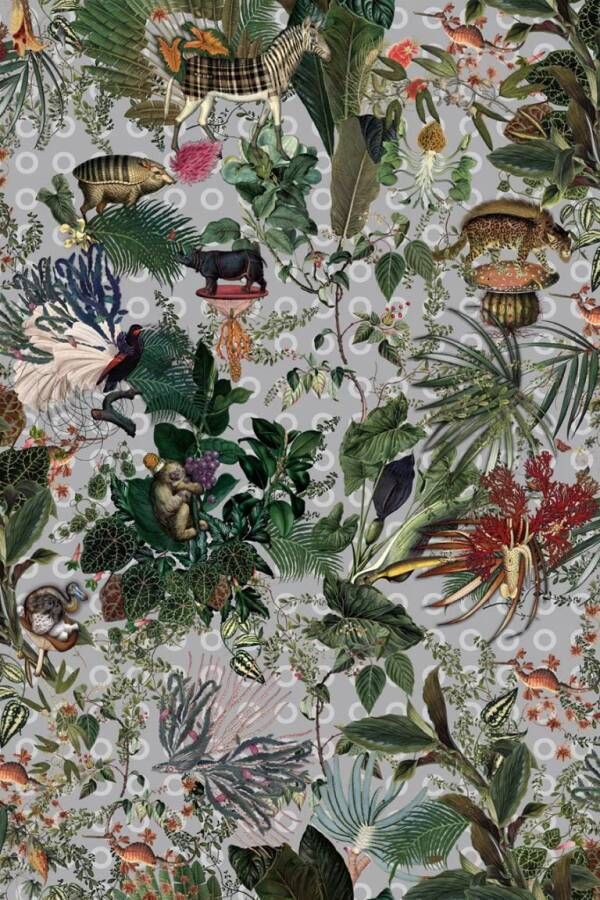 Moooi Carpets Menegerie of Extinct Animals Cloud 300x400 cm Vloerkleed - Foto 1