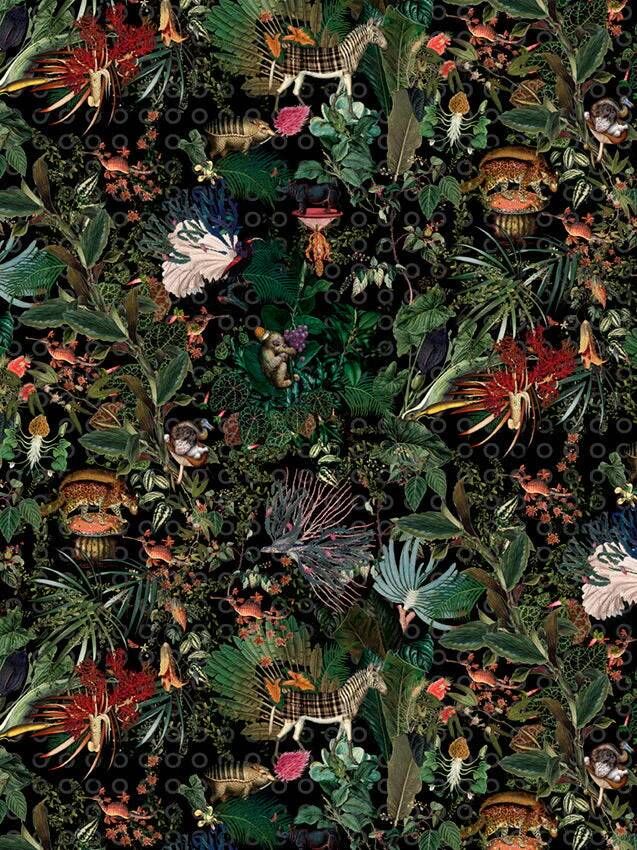 Moooi Carpets Menegerie of Extinct Animals Raven 200x300 cm Vloerkleed