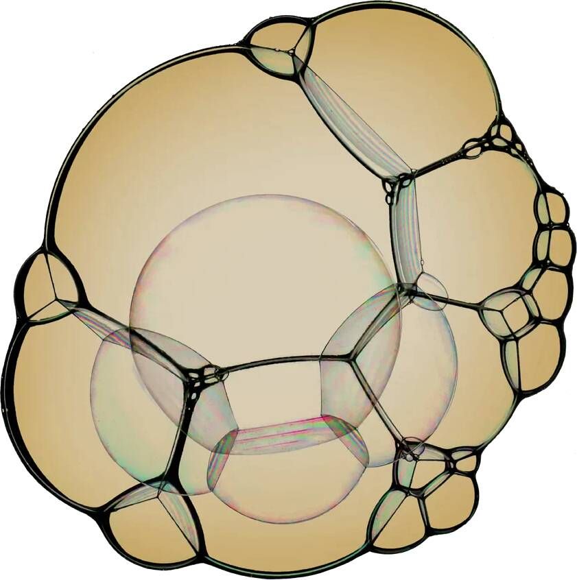 Hanse Home Reversible carpet In-& Outdoor Panama 200x290 cm - Foto 2