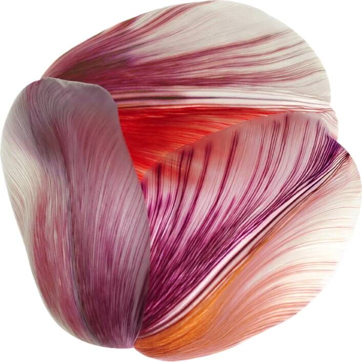 Moooi Carpets Vloerkleed Shell Red Low Pile