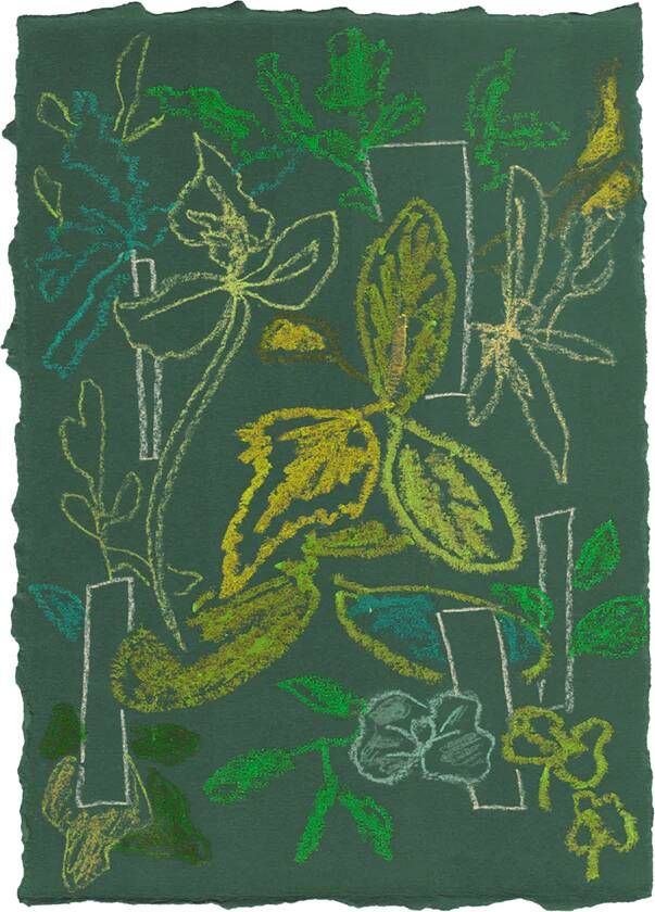 Moooi Carpets Vloerkleed Sprouts Scarlet Green Wool