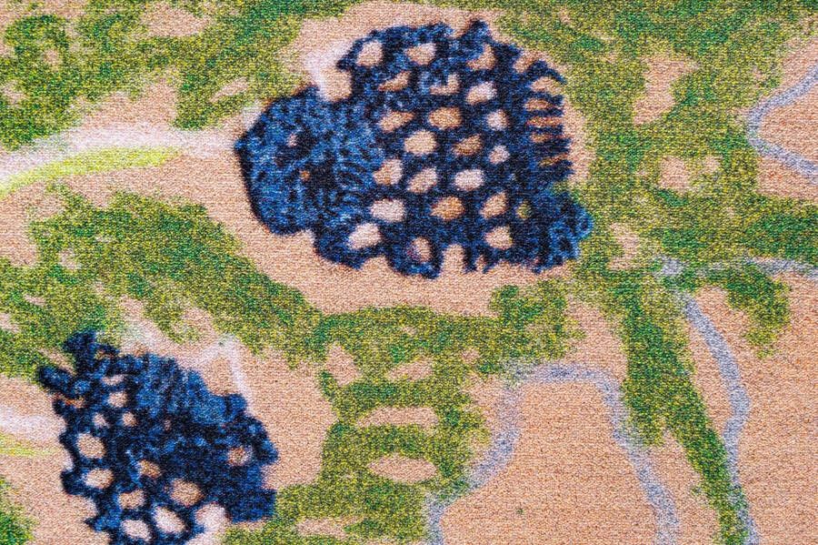 Hanse Home In- & Outdoor carpet Coin 200x290 cm - Foto 2