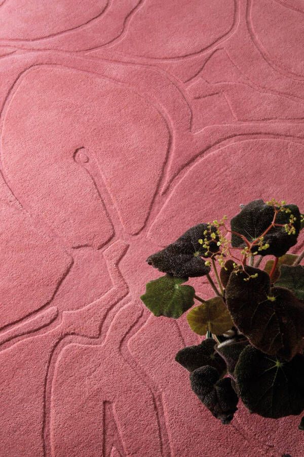 Ted Baker Romantic Magnolia Pink 162702 170x240 cm Vloerkleed - Foto 2
