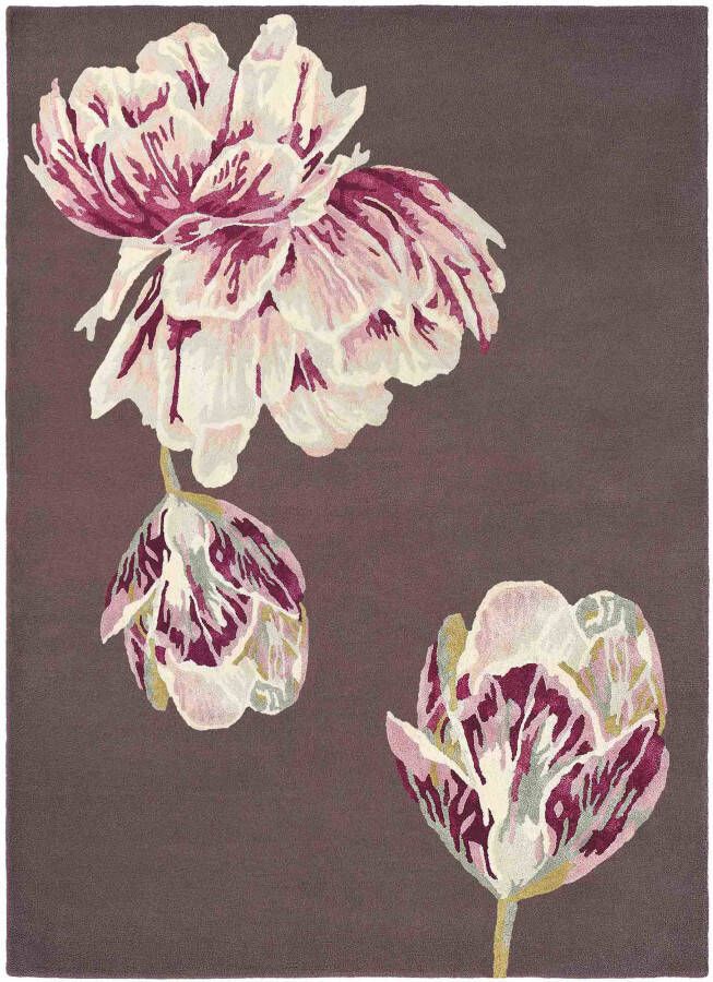 Ted Baker Tranquility Aubergine 56005 Vloerkleed 140x200 Rechthoek Laagpolig Tapijt Klassiek Beige Paars