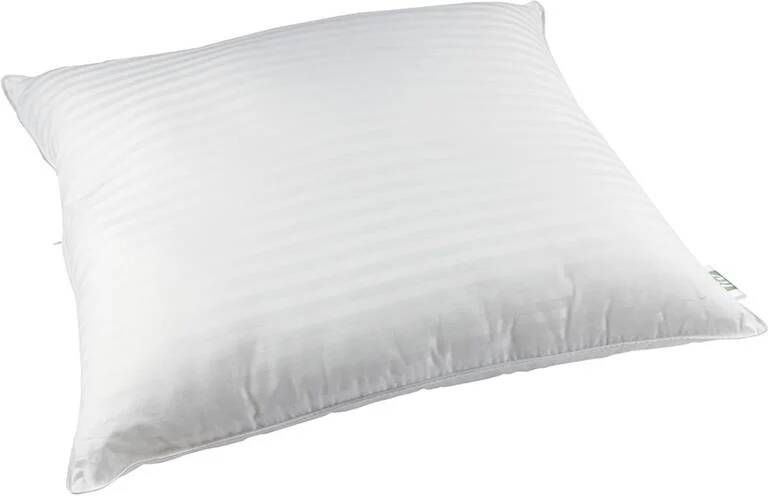 Polydaun Liv Anti-Allergeen Hoofdkussen 1000 Gr 80 x 80 cm