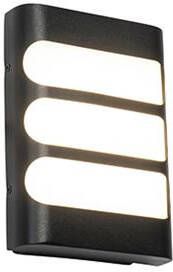 QAZQA Buitenwandlamp zwart incl. LED met licht|donker sensor Gaev