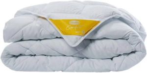Silvana Comfort Warm Geel Dekbed 240 x 200 cm
