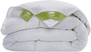 Silvana Royale Groen Extra Warm Dekbed 260 x 220 cm
