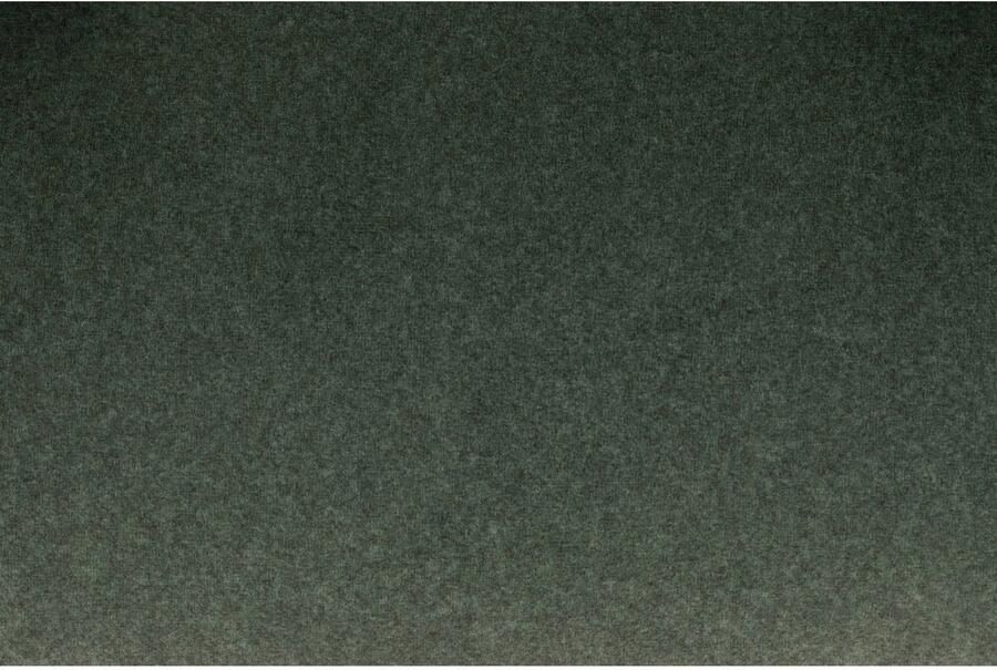 Dutchbone Blackwood Eetkamerstoel Walnootkleur Groen - Foto 3