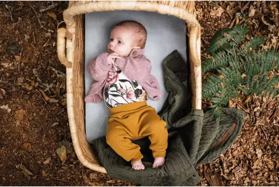 WildWood katoenen baby ledikant hoeslaken 70x140 cm French Summer Stripes - Foto 2