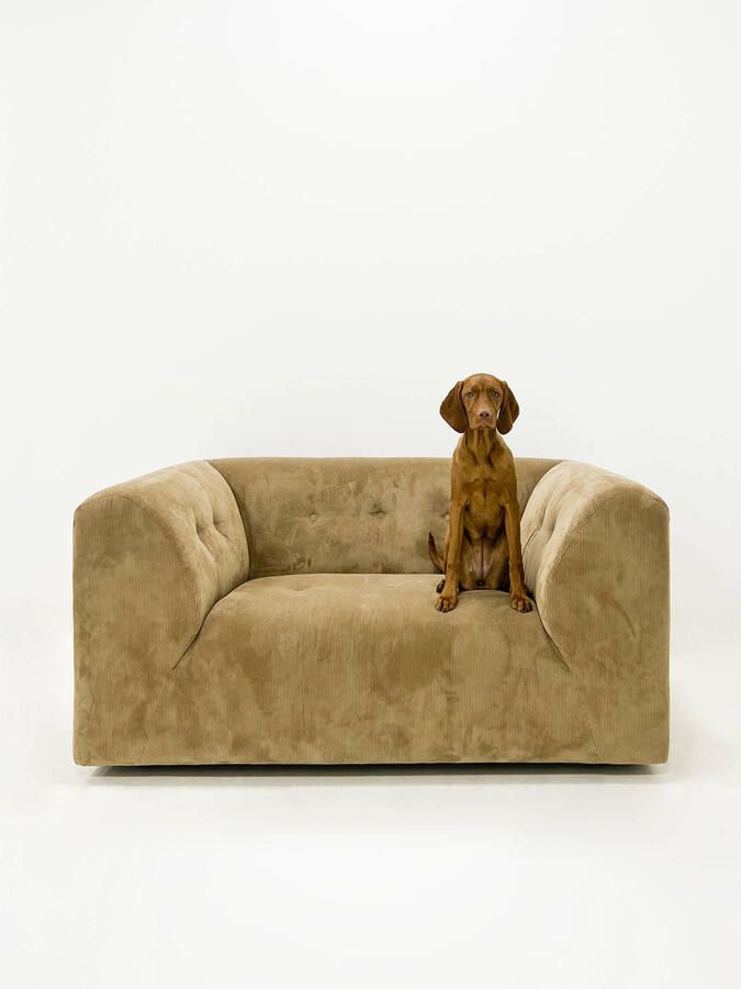 HKLIVING Vint Bank Element Loveseat Corduroy Rib Bruin - Foto 2