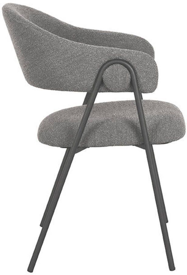 LABEL51 Lowen Eetkamerstoel Grijs Stof Black Frame Stoel Normale eetkamerstoel Met Armleuning - Foto 2