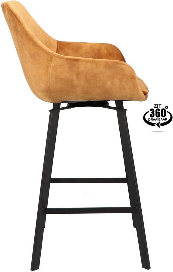 Wehkamp Home barkruk Roan (set van 2)