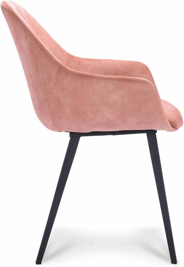 Wehkamp Home eetkamerstoel Troy (set van 2)