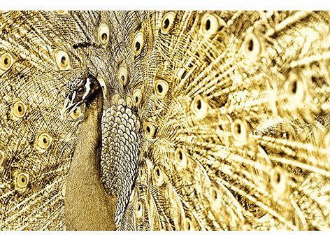 MondiArt AluArt Gold Peacock