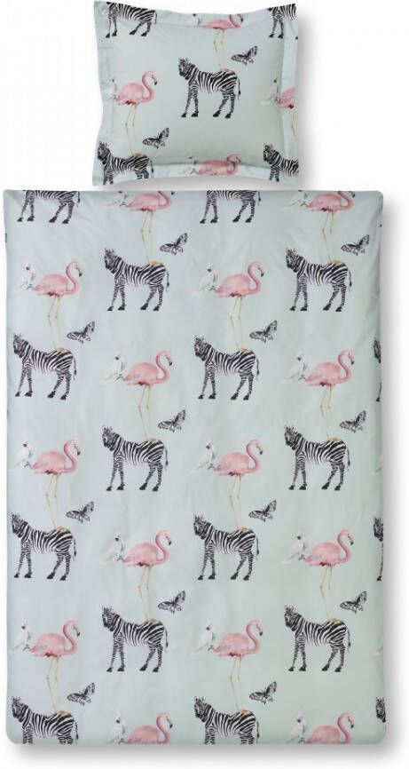 Vandyck Dbo Zebra Kids Blue 140 220