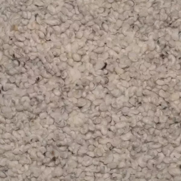 Woonboulevard Poortvliet Karpet Mogador Bruin M-22 150x200