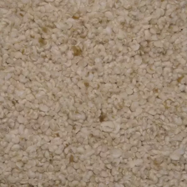 Woonboulevard Poortvliet Karpet Mogador Bruin M-24 170x240