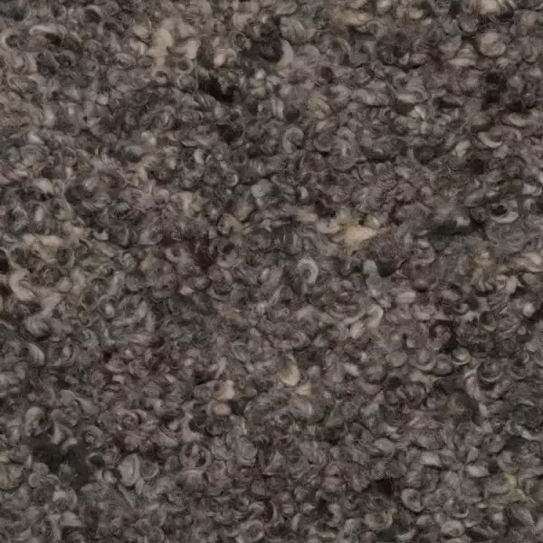 Woonboulevard Poortvliet Karpet Mogador Bruin Zwart M-21 200x250