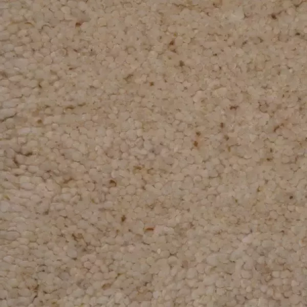 Woonboulevard Poortvliet Karpet Tafraout Bruin Q-1 170x240