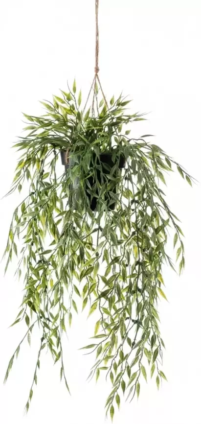 Botanic-Haus Kunst-potplanten Bamboe-plantenhanger (1 stuk)