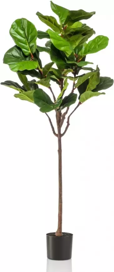 Fleurdirect Ficus Lyrata kunstplant